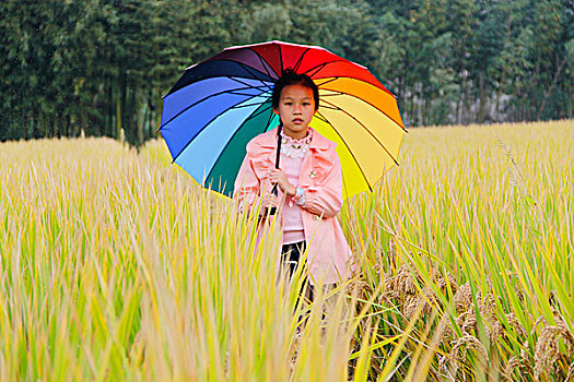 稻花香里话丰年