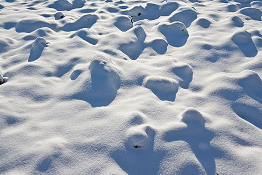 林海雪原风光