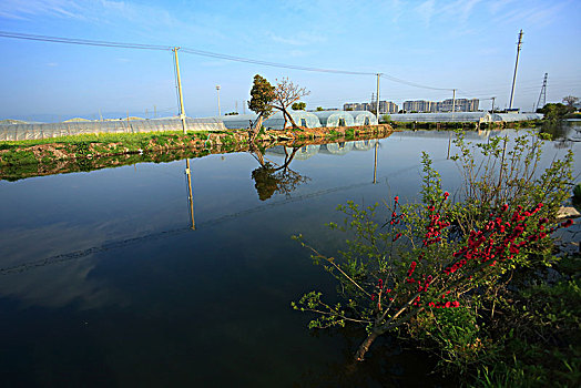 水,绿化,草地,房子