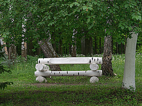 长椅,圆木,相似,桦树,站立,树林
