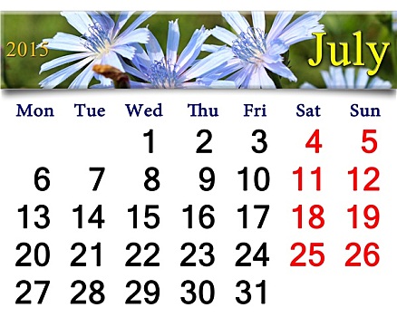 日程,七月,花,菊苣属