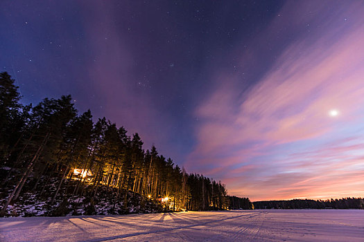 芬兰,区域,夜空,树,雪,湖