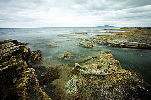 苔藓密布,石头,海岸线