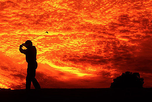 打高尔夫,漂亮,彩色,日落