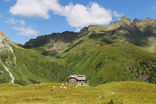 山区木屋,山,右边,奥地利,欧洲