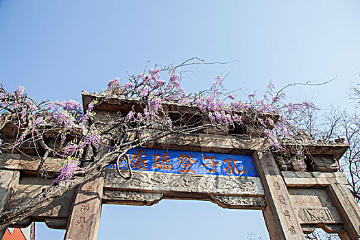 泰山景区