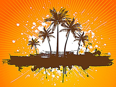 低劣,棕榈树,阳光乍现,背景