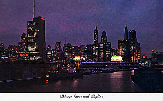 芝加哥河,城市天际线,夜晚,伊利诺斯,美国