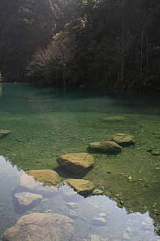 溪流,潭