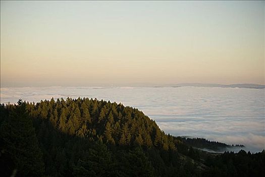 俯拍,山,围绕,云,州立公园,加利福尼亚,美国