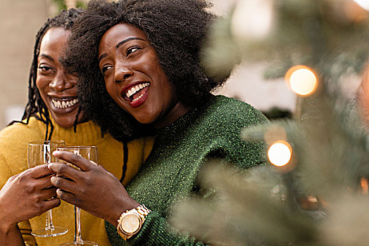 高兴,深情,女人,姐妹,喝,葡萄酒,靠近,圣诞树