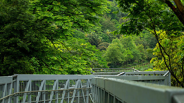 台湾新北市十分寮瀑布公园森林步道