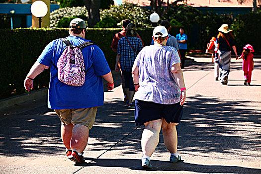 美国人,肥胖,胖子,男人,男性,背影,公园,情侣