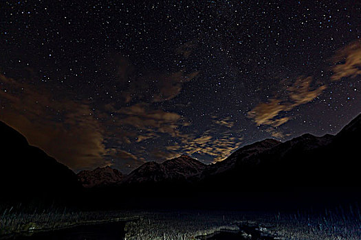 晚间,星星,云,上方,北极熊,鹰,顶峰,楚加奇山,湿地,自然,中心,前景,楚加奇州立公园,阿拉斯加,秋天