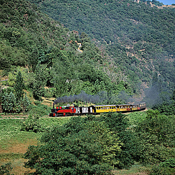 游客,蒸汽机车,峡谷,法国