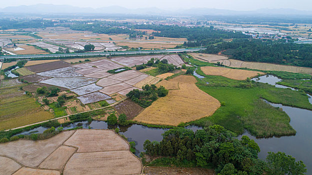 航拍乡村麦田