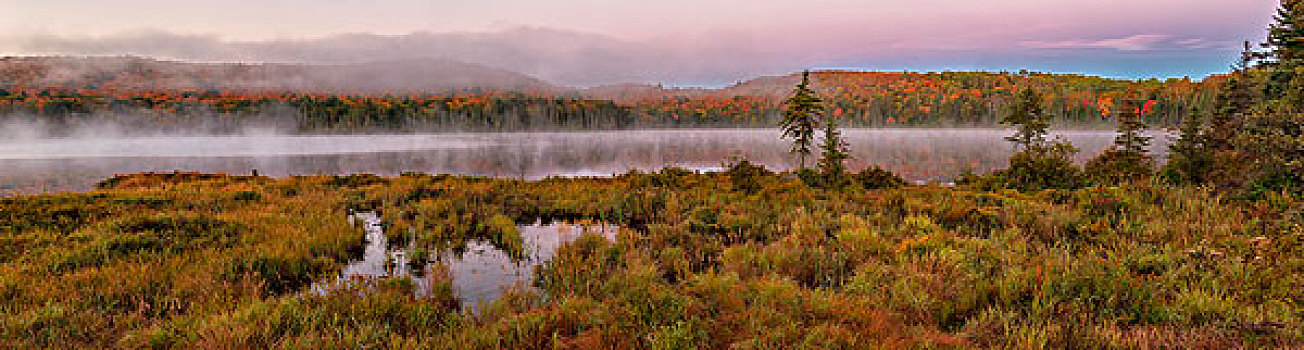 黎明,上方,模糊,水,湖,阿尔冈金公园,秋天,安大略省,加拿大