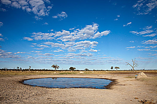 水坑,乔贝国家公园,博茨瓦纳