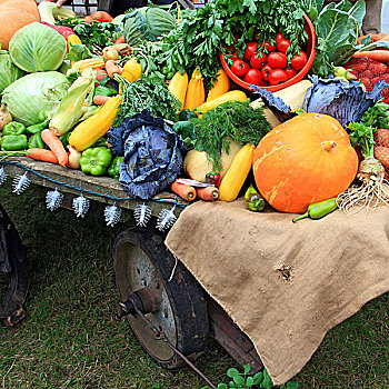 蔬菜,乡村,市场