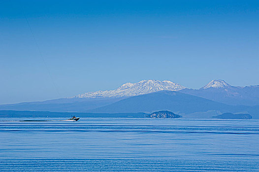 蓝色,水,陶波,湖,东加里罗国家公园,背景,北岛,新西兰