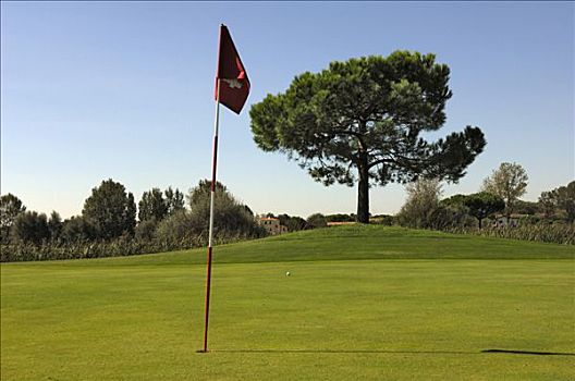 旗帜,高尔夫球场,威尼托,意大利
