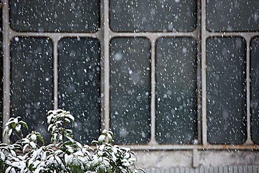 以窗户为背景的下雪天