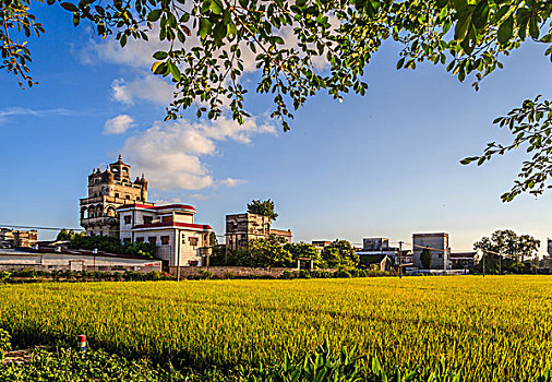 广东开平碉楼寿田楼