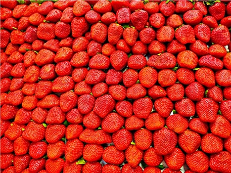 草莓,背景