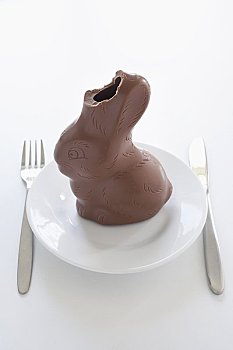 巧克力兔,咬,室外,耳