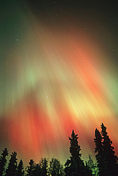 北极光,费尔班克斯,区域,中心,阿拉斯加,太阳,十月,2003年,美国