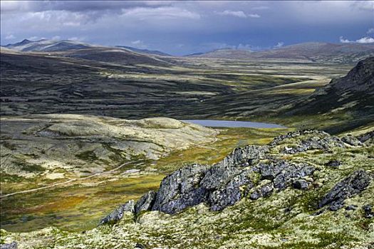 风景,国家公园,挪威,斯堪的纳维亚,北欧