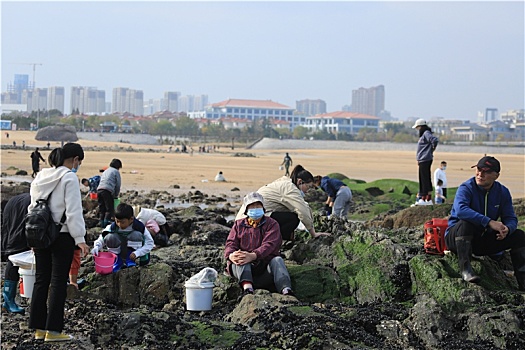 山东省日照市,深秋时节的城市公园色彩斑斓