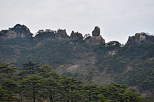 黄山猴子观海