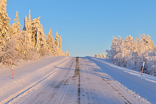 道路,冬天,库萨莫,芬兰