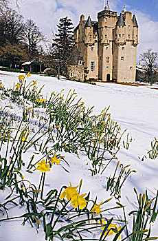 苏格兰,格兰扁区,城堡,冬天