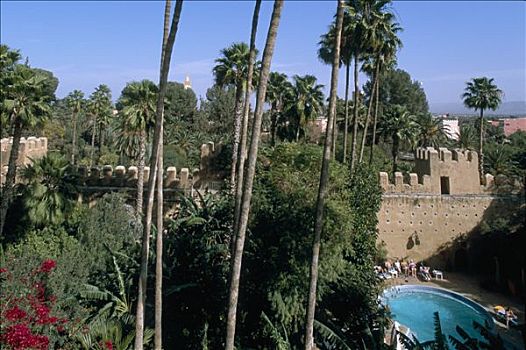 摩洛哥,达鲁丹,花园,游泳池,酒店,宫殿,壁