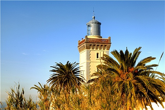 燈塔,丹吉爾,英國,西非,風景,發光,藍天,大西洋,海洋,樹,仙人掌,梨