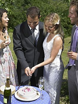 婚礼,伴侣,切,蛋糕