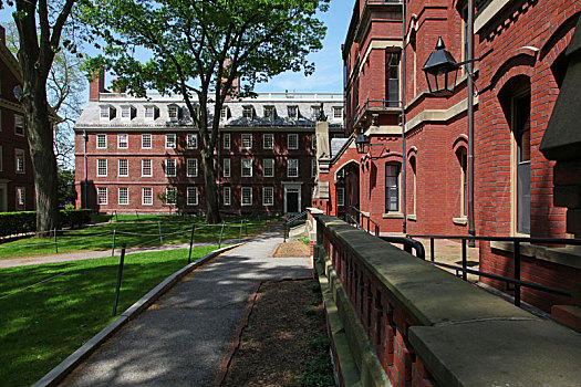 哈佛大学,harvard,university