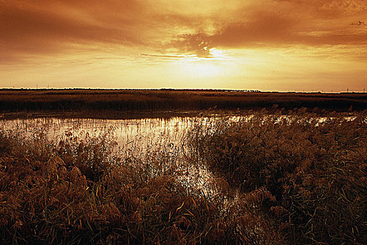 吉林,莫莫格自然保护区,湿地