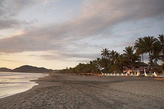 海滩,蓬塔雷纳斯,省,哥斯达黎加