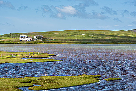 湿地,靠近,外赫布里底群岛,岛,苏格兰,英国,欧洲