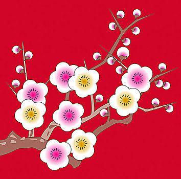 plum,blossom