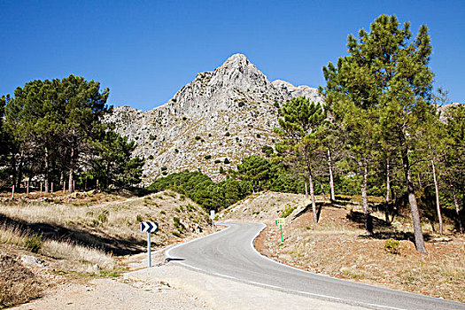 道路,风景,安达卢西亚,西班牙