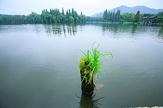 鉴湖,桥,水面,长堤,古桥,船