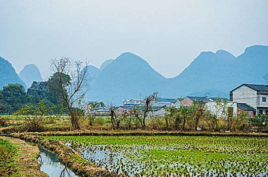 田园秋色