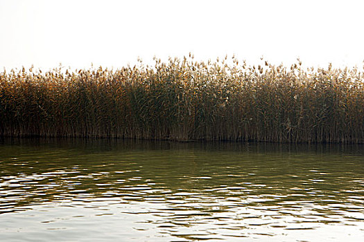 银川沙湖