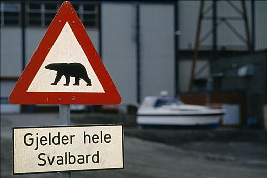 北极熊,交通,警告标识,挪威