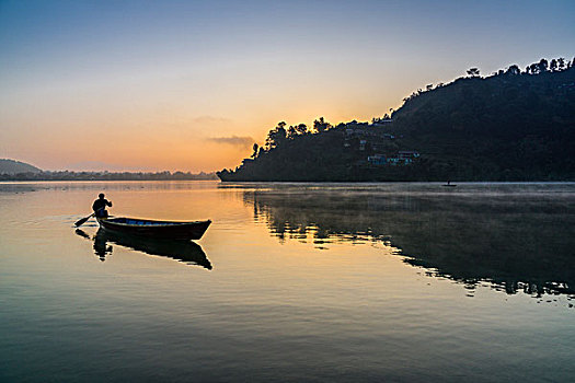 男人,划船,船,费瓦湖,日出,波卡拉,远景,雾,尼泊尔,亚洲