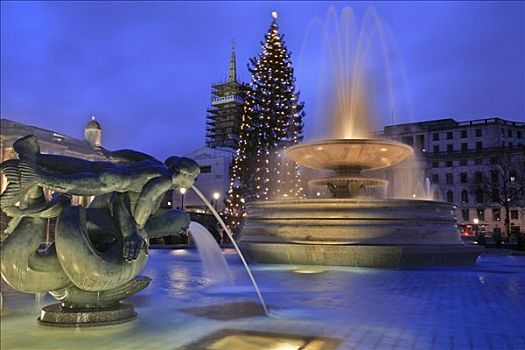 国家美术馆,特拉法尔加广场,圣诞树,喷泉,伦敦,英国